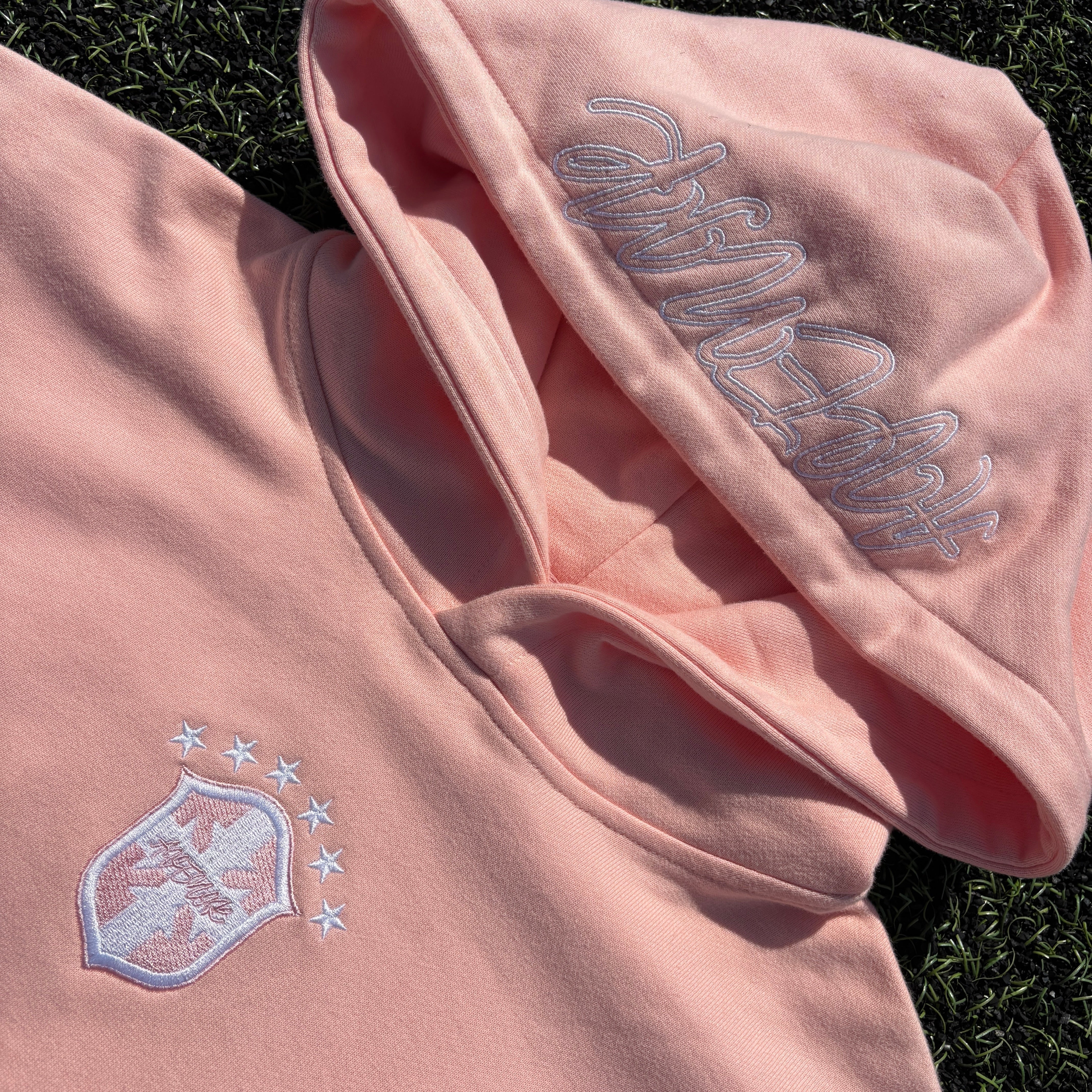 BRZL Pink Hoodie